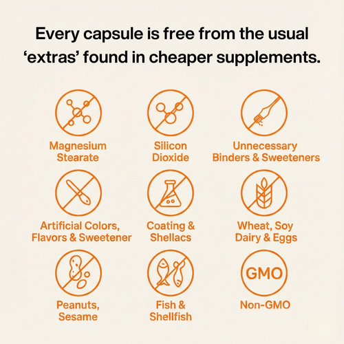 Turmeric Curcumin Capsules (1,000mg)