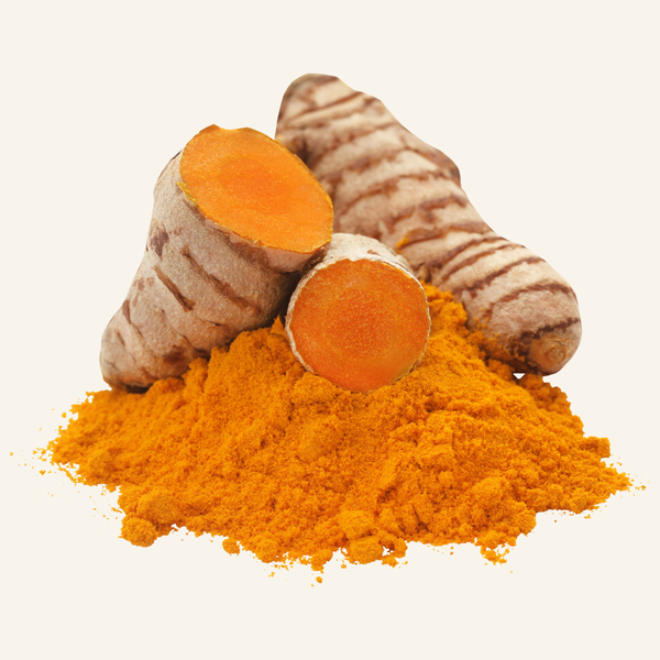 Turmeric Extract