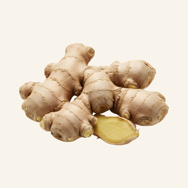 Ginger Extract